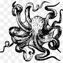 章鱼 杯子 鱿鱼-空若网 章鱼 杯子 鱿鱼-空若网