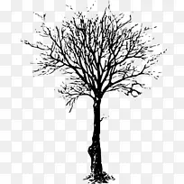 �� ��֦ ��Ӱ-������