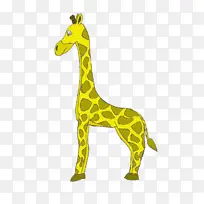 长颈鹿 脖子 动物-空若网 长颈鹿 脖子 动物-空若网