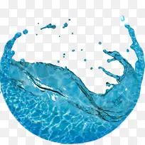 海豚 水资源 水-空若网 海豚 水资源 水-空若网