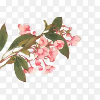 �й��� ���� ˮ�ʻ�-������