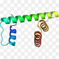 人体珠宝 线条 珠宝-空若网 人体珠宝 线条 珠宝-空若网