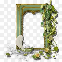 ��� ���� ����-������