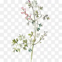 ˮ�ʻ� �ͻ� ����-������