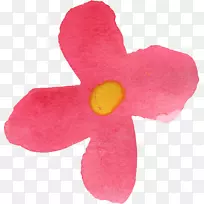 »¨°êË®²Ê»-¿ÕÈôÍø »¨°êË®²Ê»-¿ÕÈôÍø