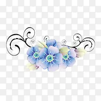 绘画 水彩画 花卉-空若网 绘画 水彩画 花卉-空若网