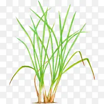 ̩������ ���� ����-������