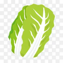 纳帕卷心菜 绿色蔬菜 蔬菜-空若网 纳帕卷心菜 绿色蔬菜 蔬菜-空若网