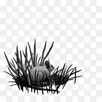 昆虫 国家地理 计算机-空若网 昆虫 国家地理 计算机-空若网