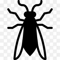 绘图 昆虫 黑色-空若网 绘图 昆虫 黑色-空若网