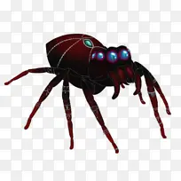 昆虫 十足目 害虫-空若网 昆虫 十足目 害虫-空若网