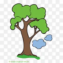 ���� ��ͨ ����-������