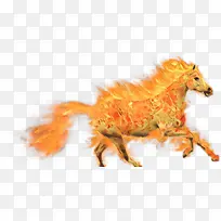 野马 鼻子 尤尼迈耶-空若网 野马 鼻子 尤尼迈耶-空若网