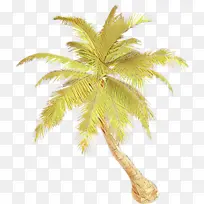 �ɹ���Ʒ����� �� Ҭ��-������