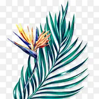 Ҷ�� ������ ����-������