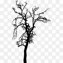 剪影 树 树枝-空若网 剪影 树 树枝-空若网