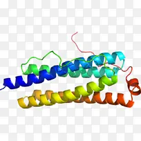 人体珠宝 线条 珠宝-空若网 人体珠宝 线条 珠宝-空若网