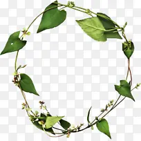 Ë®²Ê» »æ» Ê÷Ò¶-¿ÕÈôÍø Ë®²Ê» »æ» Ê÷Ò¶-¿ÕÈôÍø