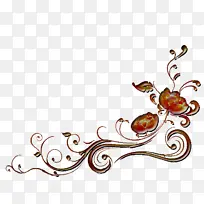 昆虫 水 博客-空若网 昆虫 水 博客-空若网