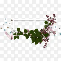 ²©¿Í Ë®²Ê» »æ»-¿ÕÈôÍø ²©¿Í Ë®²Ê» »æ»-¿ÕÈôÍø