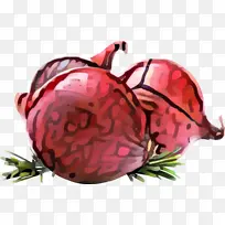 昆虫 传粉者 水果-空若网 昆虫 传粉者 水果-空若网