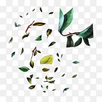 Ò¶×Ó Ë®²Ê» ÒôÀÖ-¿ÕÈôÍø Ò¶×Ó Ë®²Ê» ÒôÀÖ-¿ÕÈôÍø