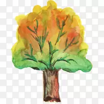 鹅掌楸花水彩树-空若网 鹅掌楸花水彩树-空若网