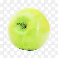 ƻ�� ˮ�� �߲�-������