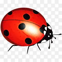 �׳� ư��׳� �滭-������