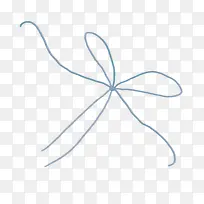 昆虫 线 角-空若网 昆虫 线 角-空若网