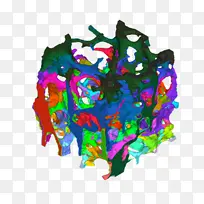 ��ѧ ֽ�� ����-������