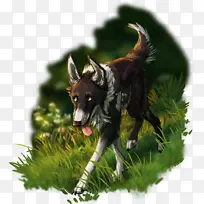 数字艺术 绘画 动物-空若网 数字艺术 绘画 动物-空若网