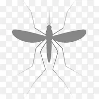 ���� ��ʲ���� ��ͯ-������