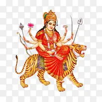 ���� ��Ƶ ��������-������