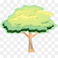 树 绿色 叶子-空若网 树 绿色 叶子-空若网