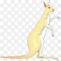 袋鼠 巨足动物 野兔-空若网 袋鼠 巨足动物 野兔-空若网