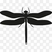 昆虫 侧影 蜻蜓-空若网 昆虫 侧影 蜻蜓-空若网