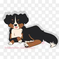 伯尔尼山犬 恩特布彻山犬 小狗-空若网 伯尔尼山犬 恩特布彻山犬 小狗-空若网