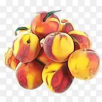 ˮ�� ��ɫ ֲ��-������