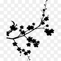 葡萄 植物茎 小枝-空若网 葡萄 植物茎 小枝-空若网