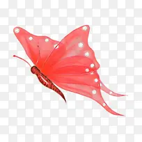 蝴蝶 昆虫 帝王蝴蝶-空若网 蝴蝶 昆虫 帝王蝴蝶-空若网