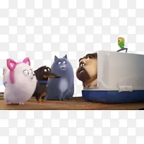 è ���� ����-������