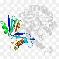线 点-空若网 线 点-空若网