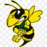 富兰克林高中爱迪生高中斯托克顿联合学区学校-空若网 富兰克林高中爱迪生高中斯托克顿联合学区学校-空若网