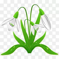 ������ѩ�ؼ�����-����-������