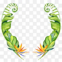 Ë®²Ê» »æ» Ïã½¶Ò¶-¿ÕÈôÍø Ë®²Ê» »æ» Ïã½¶Ò¶-¿ÕÈôÍø