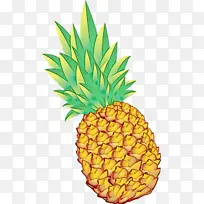 菠萝 素描 水彩画-空若网 菠萝 素描 水彩画-空若网