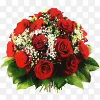 �� ���� ����-������