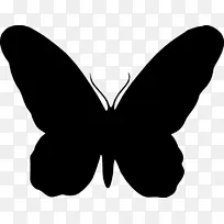 蝴蝶 剪影 昆虫-空若网 蝴蝶 剪影 昆虫-空若网