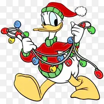 食物 喙 线-空若网 食物 喙 线-空若网